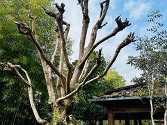 -九龙湾·御膳坊(九龙窠路店)