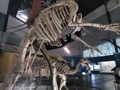 -湖南省地质博物馆