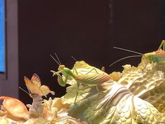 -北京工艺美术博物馆