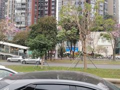 -深圳龙华星河COCO City(民治店)