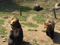 -贵州森林野生动物园