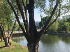 -南京医科大学(江宁校区)