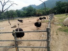 景点-西安秦岭野生动物园