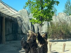 -齐齐哈尔龙沙动植物园