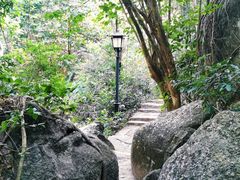-亚龙湾热带天堂森林公园