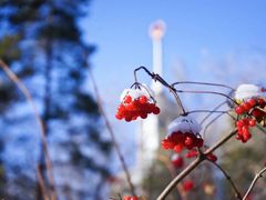 -黑龙江中医药大学
