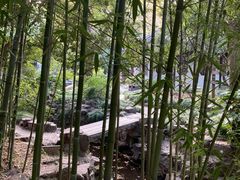-秋霞圃