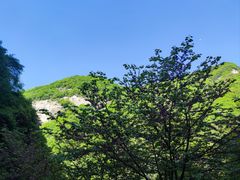 -西安祥峪森林公园