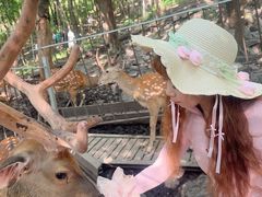 -帽儿山风景区
