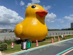 -琅岐红光湖公园