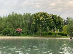 -柳浪游泳场