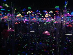 -都江堰玫瑰花溪谷