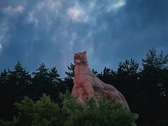 -帽儿山国家森林公园