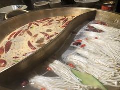 红白鸳鸯锅-小龙坎老火锅(金柏林店)