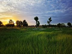 -汉长安城未央宫国家考古遗址公园