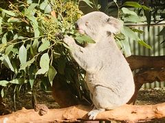 -费瑟代尔野生动物园