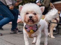 -太平洋数码广场