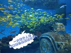 -海合安武汉极地海洋公园