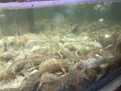 -盒马鲜生(财富中心店)