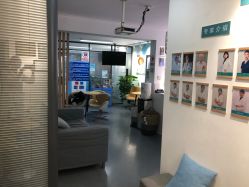 -清清博视儿童眼视光中心(角门西店)