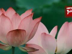 -梁鸿国家湿地公园