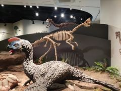 -自贡恐龙博物馆