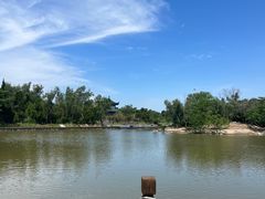 -盐城丹顶鹤湿地生态旅游区