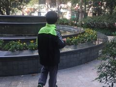-新湖明珠城