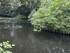 -广州兰圃