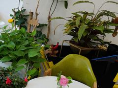-威克特披萨汉堡