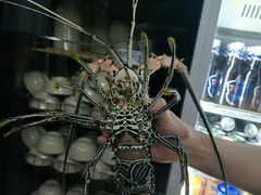 -芽庄老成都川菜馆