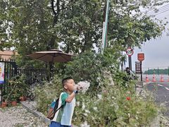 -广州市紫泥堂文化创意园景区