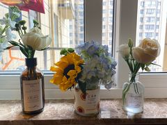 -秦美花卉(天朗·莱茵小城2期店)