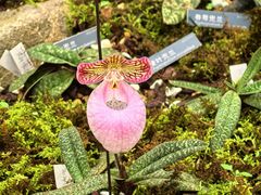 -国家植物园南园