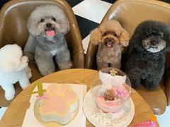 -Oh My Dog宠物沙龙(伊珊娜皮毛护理店)