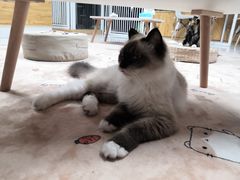 -冰川延边料理·炭烤串(原小木屋店)