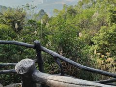 -大雁山风景区