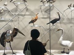 -中国湿地博物馆