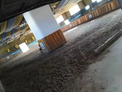 -大连凯洋马术俱乐部有限公司