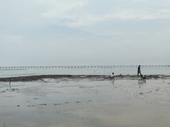 -南汇嘴观海公园