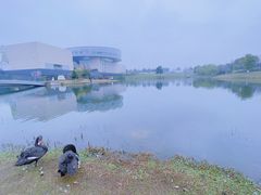 -洋湖国家湿地公园