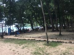 -洛克岛
