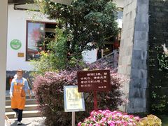 -瑞丰园庭院餐厅·白族传统家常菜