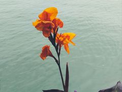 -浙江西子宾馆·瑶园咖啡厅