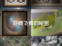 -上海昆虫博物馆