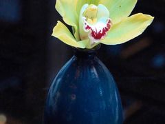 -行者书屋大堂吧 ·下午茶(南京圣和府邸酒店)