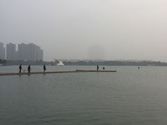 -暨阳湖生态园
