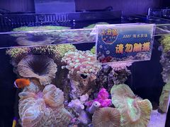 -红星美凯龙(北京北四环店)