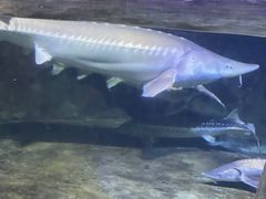 -左海海底世界