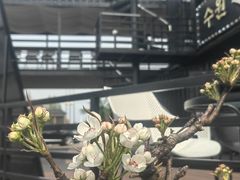 -帽儿山国家森林公园